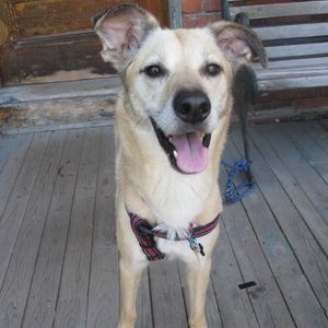 Meet your Posher, Jess